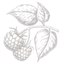 Berries-Badge