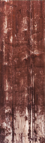Piece of wood paneling